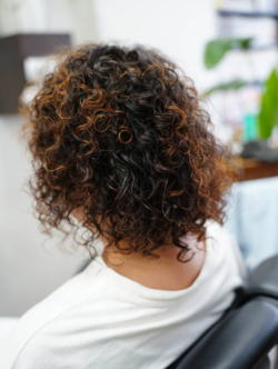 �X�p�C�����p�[�}